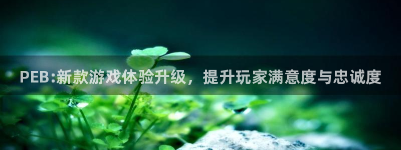 赢咖娱乐手机网页版登录：PEB:新款游戏体验升级，提升玩家满