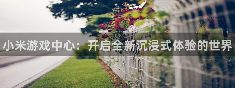 手机版赢咖娱乐客户端下载：小米游戏中心：开启全新沉浸式体验的