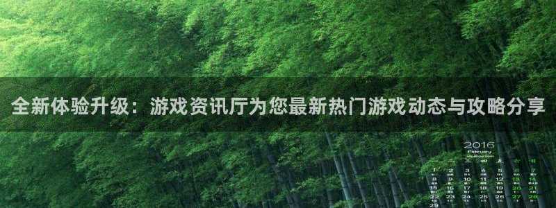 赢咖娱乐什么意思：全新体验升级：游戏资讯厅为您最新热门游戏动