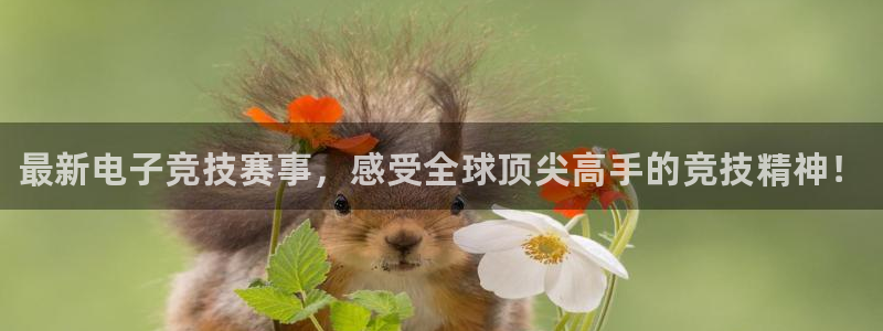 赢咖娱乐平台登陆：最新电子竞技赛事，感受全球顶尖高手的竞技精
