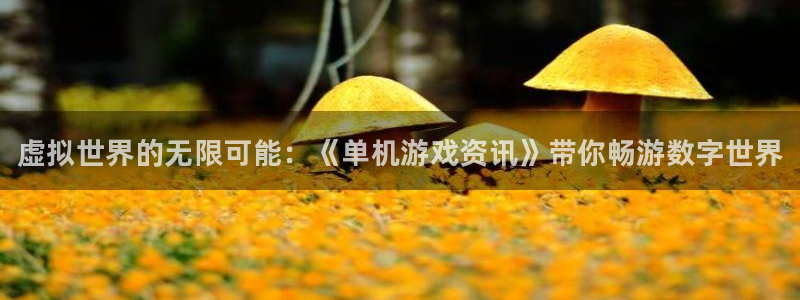 赢咖娱乐app：虚拟世界的无限可能：《单机游戏资讯》带你畅游