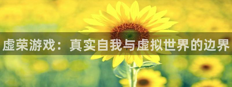 赢咖娱乐官方注册登录：虚荣游戏：真实自我与虚拟世界的边界