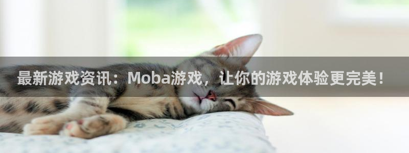 赢咖娱乐下载链接：最新游戏资讯：Moba游戏，让你的游戏体验