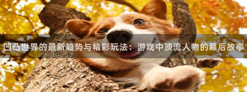 赢咖娱乐注册地址：凹凸世界的最新趋势与精彩玩法：游戏中顶流人