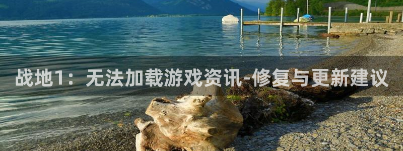 赢咖娱乐平台官方网站：战地1：无法加载游戏资讯-修复与更新建