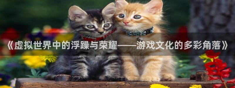 赢咖娱乐科技：《虚拟世界中的浮躁与荣耀——游戏文化的多彩角落