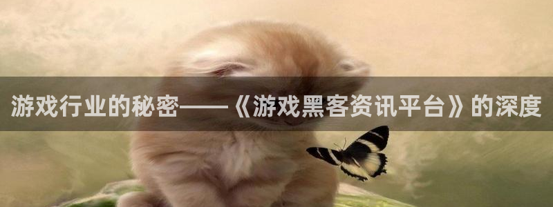 赢咖娱乐下载：游戏行业的秘密——《游戏黑客资讯平台》的深度
