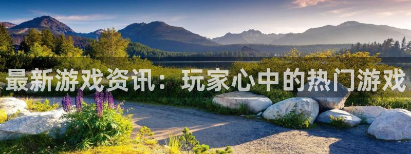 赢咖娱乐注册账号：最新游戏资讯：玩家心中的热门游戏