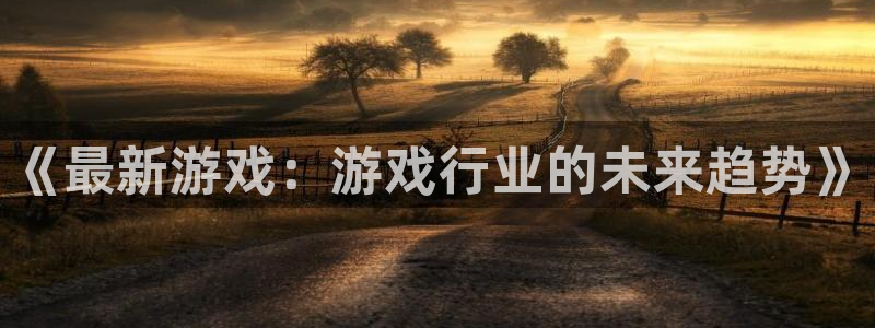 赢咖娱乐的意思：《最新游戏：游戏行业的未来趋势》